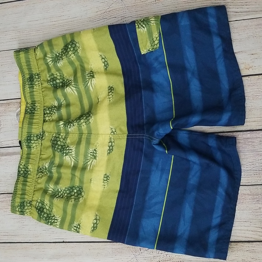 True Craft Swim Trunks - Picture 5 of 10